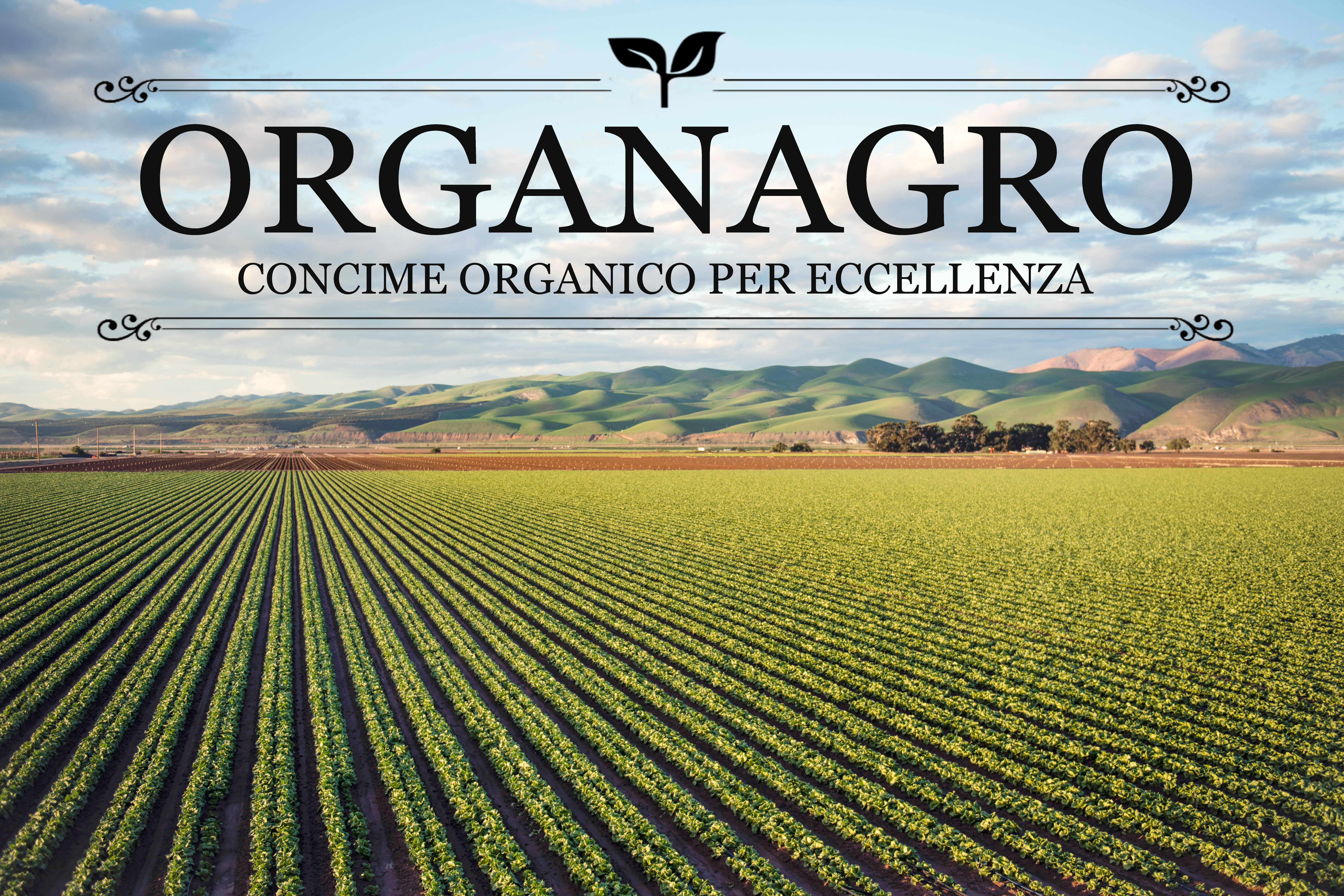 organagro-compr